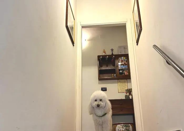 Residenza Le Logge 3*